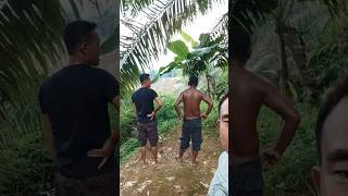 BAPAK INI AHLINYA PERKEBUNAN DI MUARA #rajaunggah