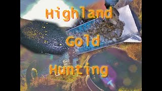 Highland Gold Hunting