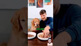 @Mrbeast Feeding A Dog #$1VS $10.000 steak #shorts #viralshort #short #shortvideos #trending