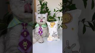 How To DIY A Silk Pillow As Soft As A Cloud?😊☁️🌟 #catsofyoutube #catvideo #tiktok