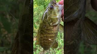 Part 1 of Smallie,Largie Challenge