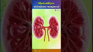 కిడ్నీలను ఆరోగ్యంగా ఉంచే ఆహారాలు తినాల్సినవి ఇవే | #shorts #health #kidneyhealth #ytshorts #viral