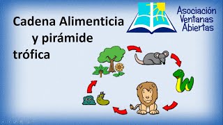 cadena alimenticia y pirámide trófica 2 (3er grado de primaria)