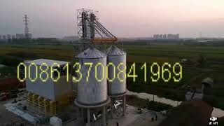 15000TPD Grain Silo