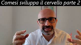 Come si sviluppa il cervello parte 2