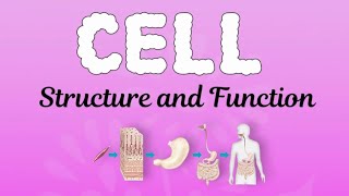 Cell Structure and Function ...crisp and to the point explanation #biology #class9 #class10