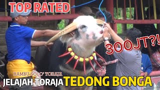 Ritual Rambu Solo' Ma'Pasa Tedong Part 1