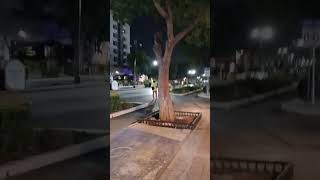 hoy en Merida 🇲🇽 Noche Blanca