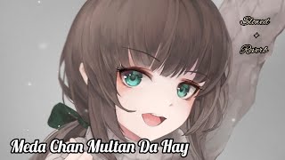 Meda Chan Multan Da Hay [ Prince Ali Khan ] Video Saraiki Song | Slowed + Reverb |