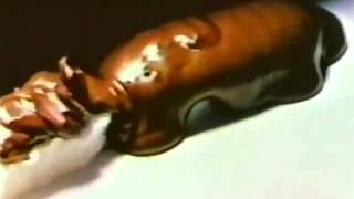 1978 - Almond joy commercial - Sometime you feel like a nut.mp4