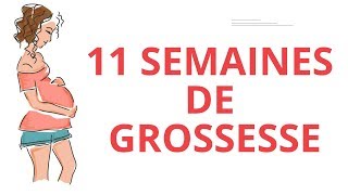 11 SEMAINES DE GROSSESSE