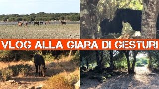 Vlog alla Giara di Gesturi