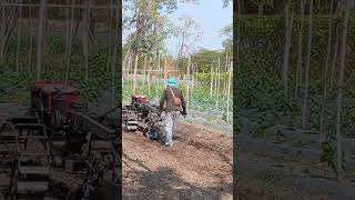 Ploughing the field before growing