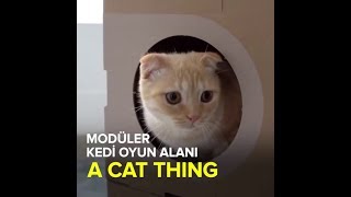 Kedilere Modüler Oyun Alanı: A Cat Thing