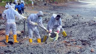 Sri Lanka: Burning ship coats beaches in oil and debris