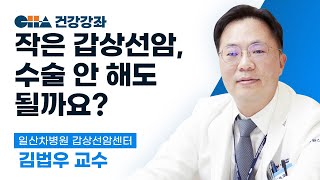 [일산차병원 갑상선 건강강좌] 작은 갑상선암은 어떻게 하나요? (능동적 감시? 최소절개수술법 등) 갑상선암센터 김법우 교수