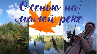 Осенняя рыбалка на микро речке с приманками Curious Fish