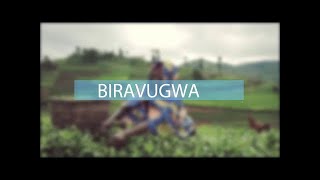 🔴LIVE BIRAVUGWA: NI IKI KIRI GUTERA IBURA RY'AMAFI?