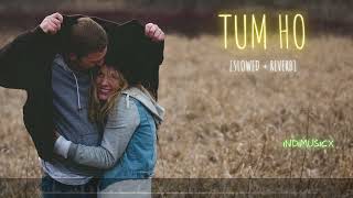 Tum Ho [Slowed+Reverb]- Mohit C | Kavita K | Indimusicx | #rockstar #SlowedandReverb #lofi