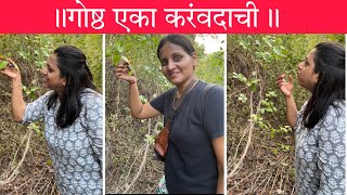 रानातली काळी मैना कुठच मिळेना | करंवदाची गोष्ठ | Vacation time #kankavali #konkan #konkanlife