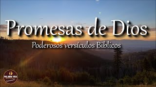 Promesas de Dios para recibir paz | versiculos Biblicos | Biblia hablada | Bible verses