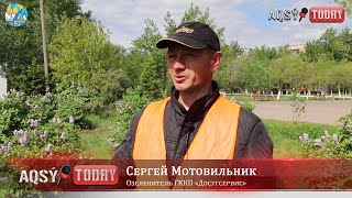 Озеленяют город