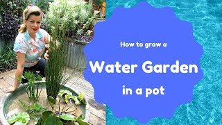 How to create a water garden in a pot // The Gardenettes