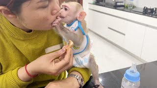 So Cute Baby FIDO Kissing Very Tender While Feed Him Sapodilla