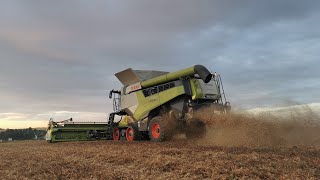 Ernte 2021 | Claas Lexion & Tucano | [1080p]