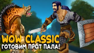 WoW Classic - Прот паладин на Hardcore! Такое возможно?