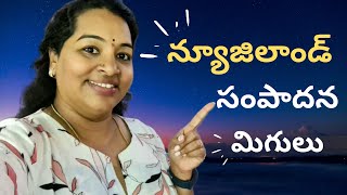 💰🤑New Zealand Salary & Savings🤑💰 ( 👩‍🎓న్యూజిలాండ్ సంపాదన  & మిగులు👩‍🎓)