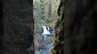 beautiful waterfalls and cherry blossom in Oregon.