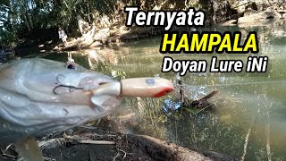 Mancing Ikan Palung || Cara Casting Hampala Dengan Lure Whoper Ploper Top Water Splasher