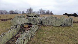 A field full of ancient graves! Walking tour of Ekornavallen in Sweden