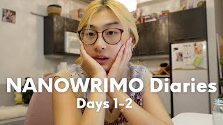 NANOWRIMO Diaries | This is my life now: after hours writing, reading 📚, YouTube, and kitties 🐱