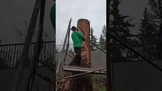 Spirit Face Carving on Side of Cliff 18ft Wood Spirit Carving