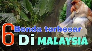 6 Benda Terbesar Didunia Milik Malaysia