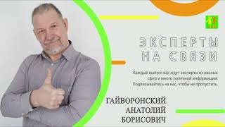 Эксперты на связи. Выпуск 5.