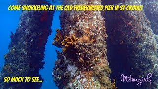 Snorkeling Old Frederiksted Pier: St Croix VI