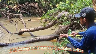 MANCING IKAN PAKE UMPAN TERBAIK DAPAT JEKPOT TAWES MENGILA TARIKAN SAMPE JORAN MAU PATAH