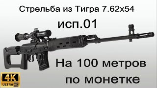 Стрельба из Тигра по монетке на 100 метров (SVD shoots at 100 meters on a coin)