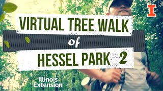 Virtual Tree Walk of Hessel Park 2