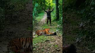 you will not die anymore care is to cacth the tiger is the river part 136 #shorts #viral #tiger