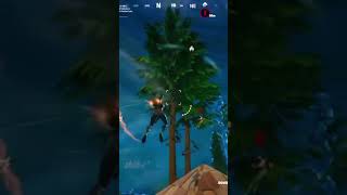 Fortnite battle royal win 19