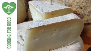 San Patrignano Cheese | Borough Market