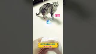 cat video 🐈 funny cat 😱😂 cat sound #shorts #catshorts #ytshorts #tradingshorts #short