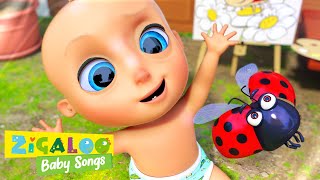 We Have Fun with Johnny and Friends and more Kids Videos by Zigaloo Baby Songs