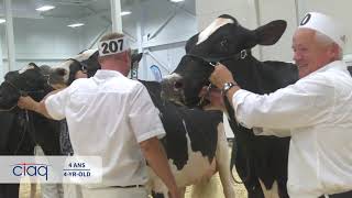 Suprême Laitier 2018 : 4 ans - Holstein