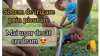 🍅Sistem de irigare prin picurare la solarul familiei/ e ușor și util 🤠👍