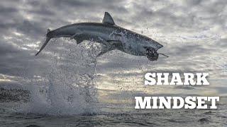 SHARK MINDSET | Walter Bond - Powerful Motivational Speech